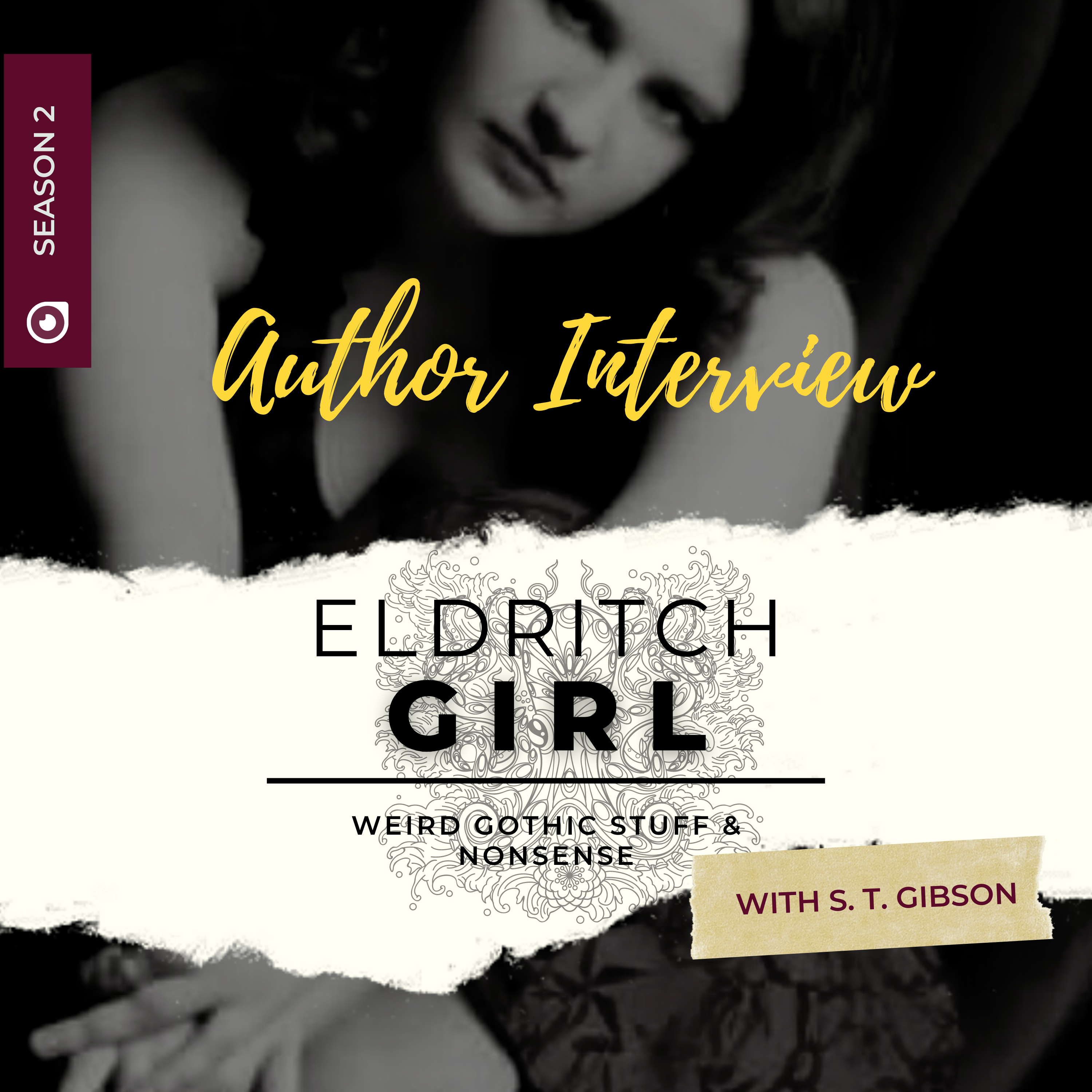 Author Interview Transcript: S. T. [Saint] Gibson