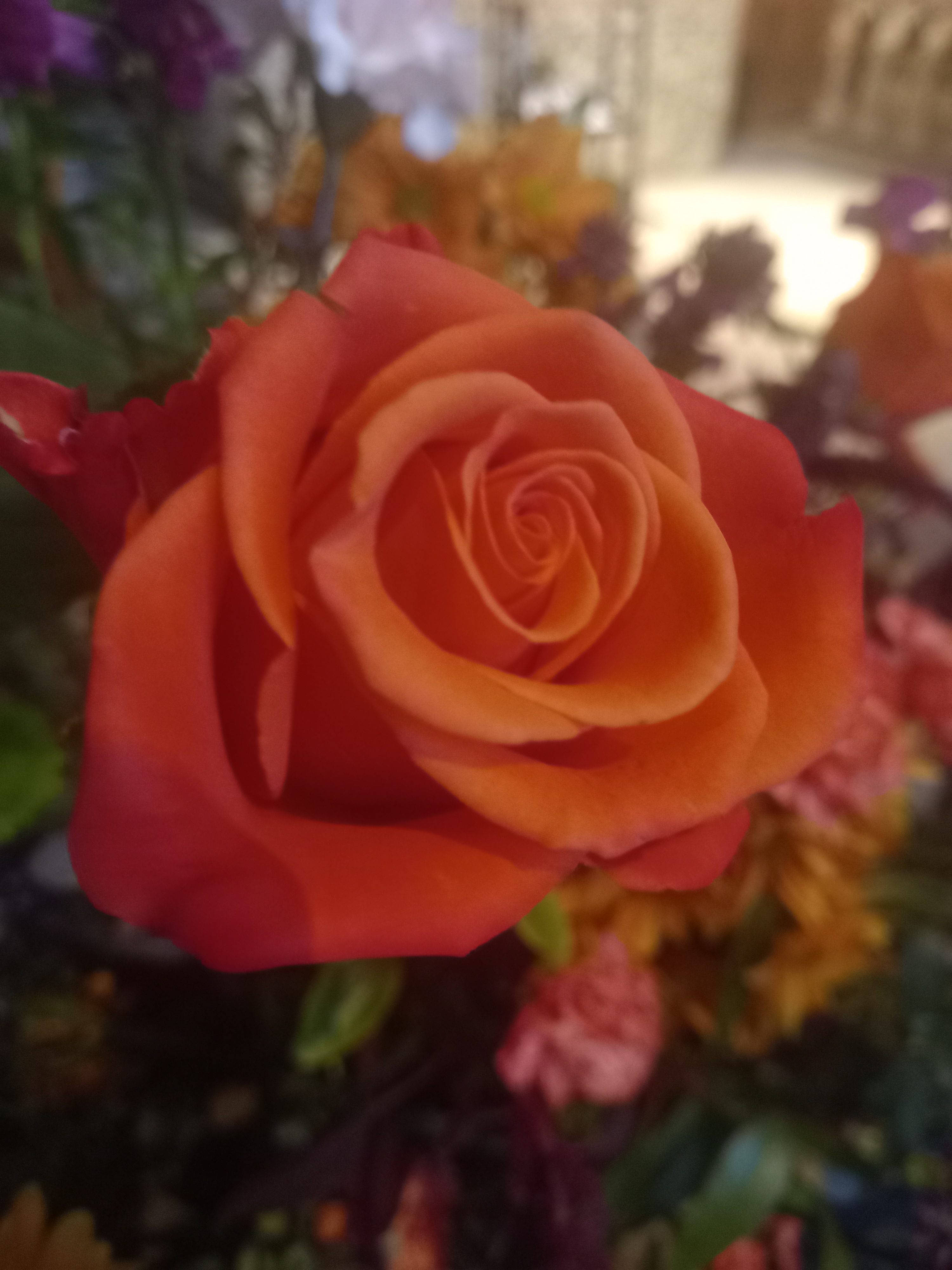 Happy Birthday to Me & THE CROWS (1st Edn)