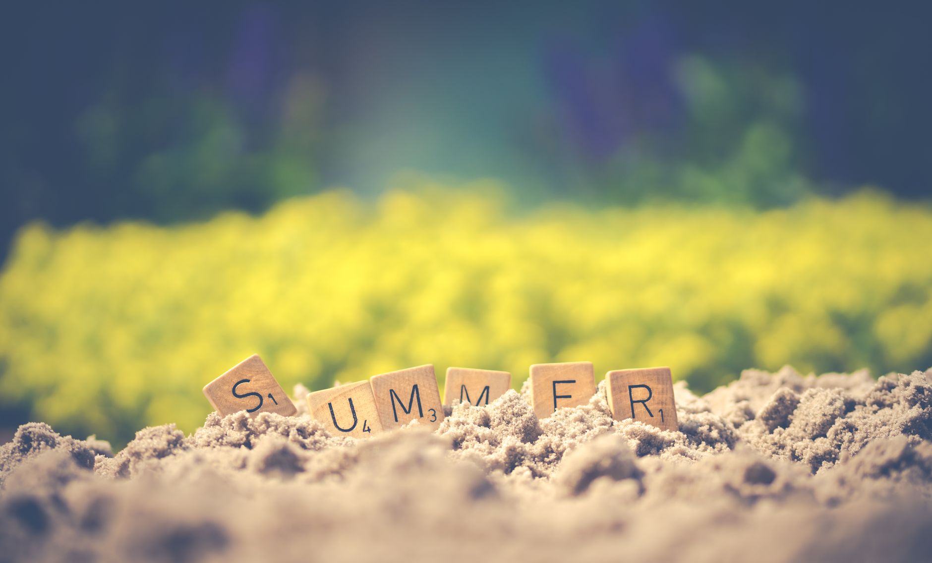 July 2026 Media Round-Up